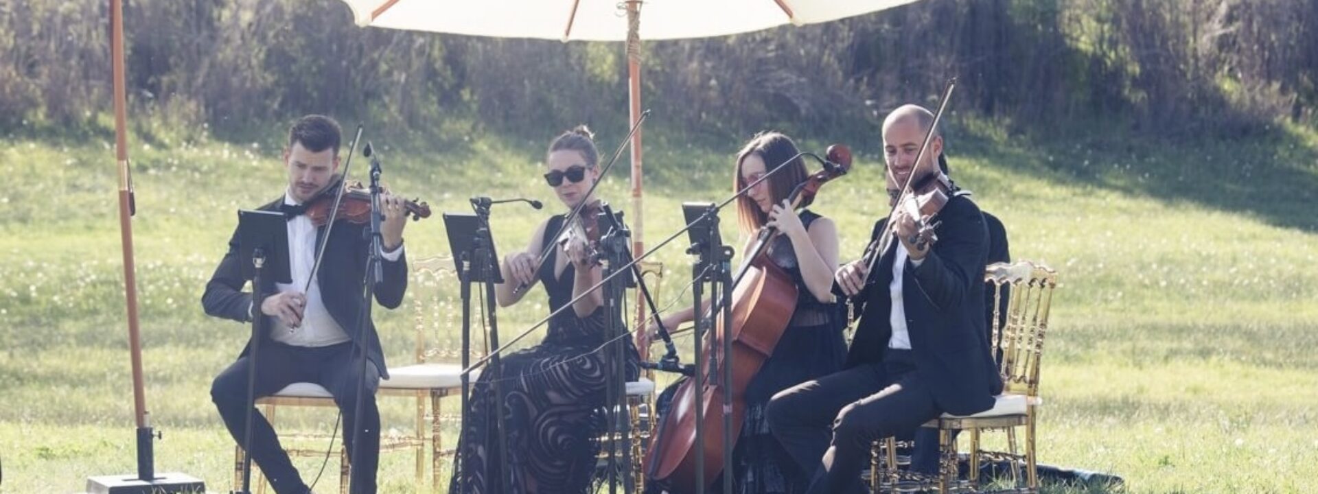 Long Island & The Hamptons Wedding Musicians, String Quartet New York Virtuosi